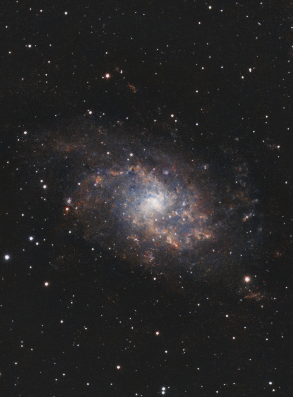 Triangulum Galaxy (M33)